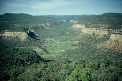 Dry Mesa Dinosaur Quarry, Colorado, USA